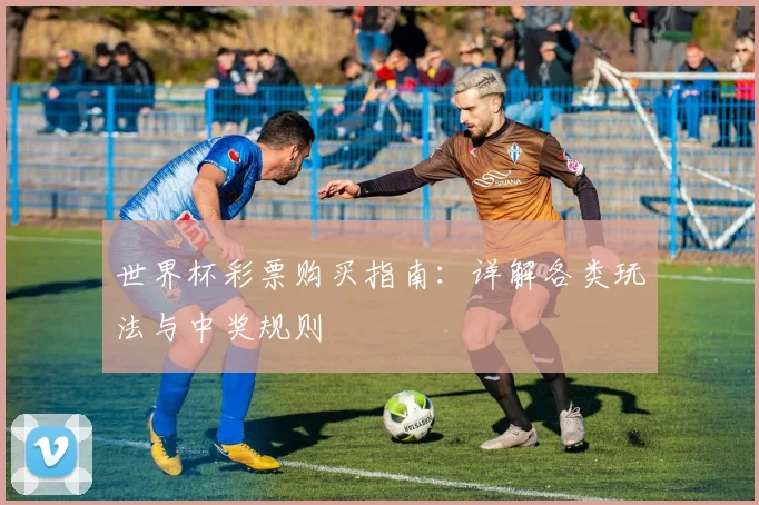 世界杯彩票购买指南：详解各类玩法与中奖规则