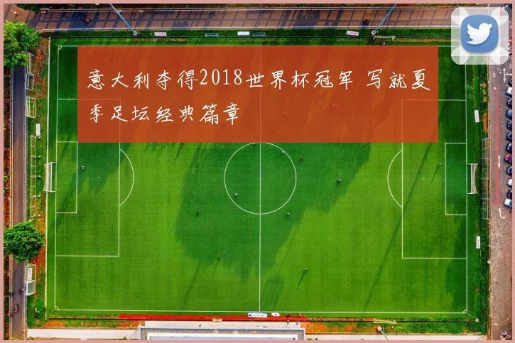 意大利夺得2018世界杯冠军 写就夏季足坛经典篇章