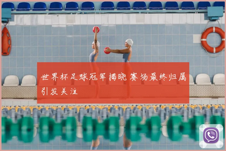 世界杯足球冠军揭晓 赛场最终归属引发关注