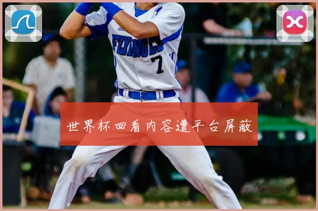 世界杯回看内容遭平台屏蔽