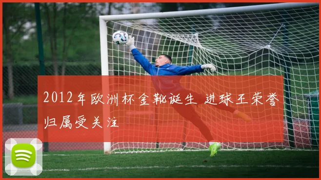 2012年欧洲杯金靴诞生 进球王荣誉归属受关注