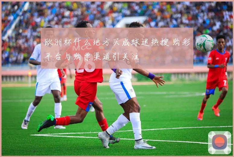 欧洲杯什么地方买成球迷热搜 购彩平台与购票渠道引关注
