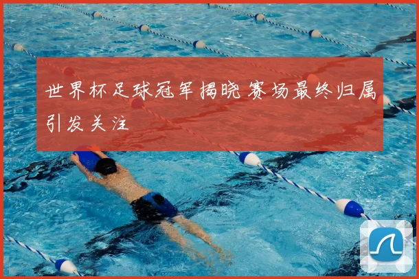 世界杯足球冠军揭晓 赛场最终归属引发关注