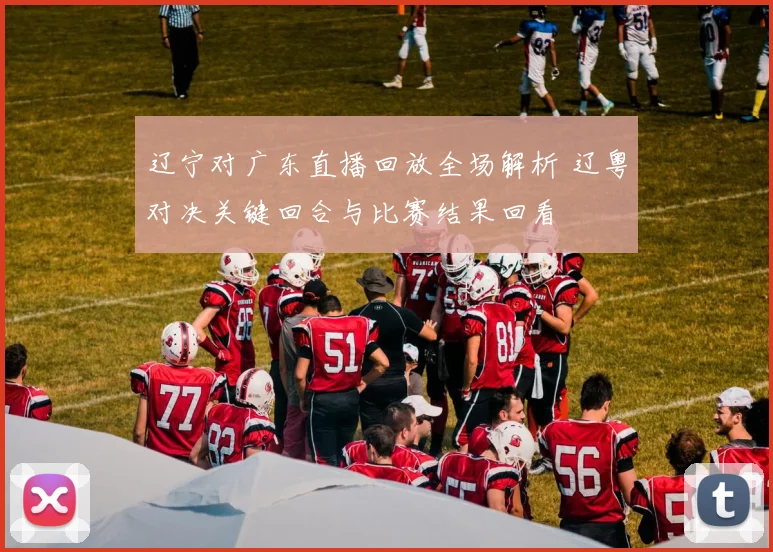 辽宁对广东直播回放全场解析 辽粤对决关键回合与比赛结果回看