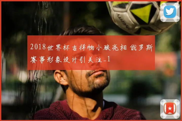 2018世界杯吉祥物小狼亮相 俄罗斯赛事形象设计引关注_1